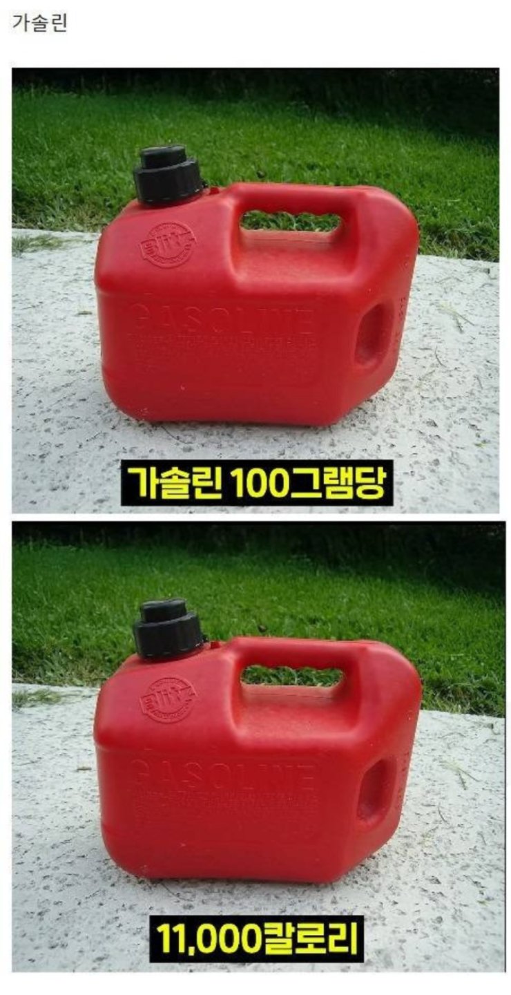 한입만 먹어도 다이어트 망하는 음식