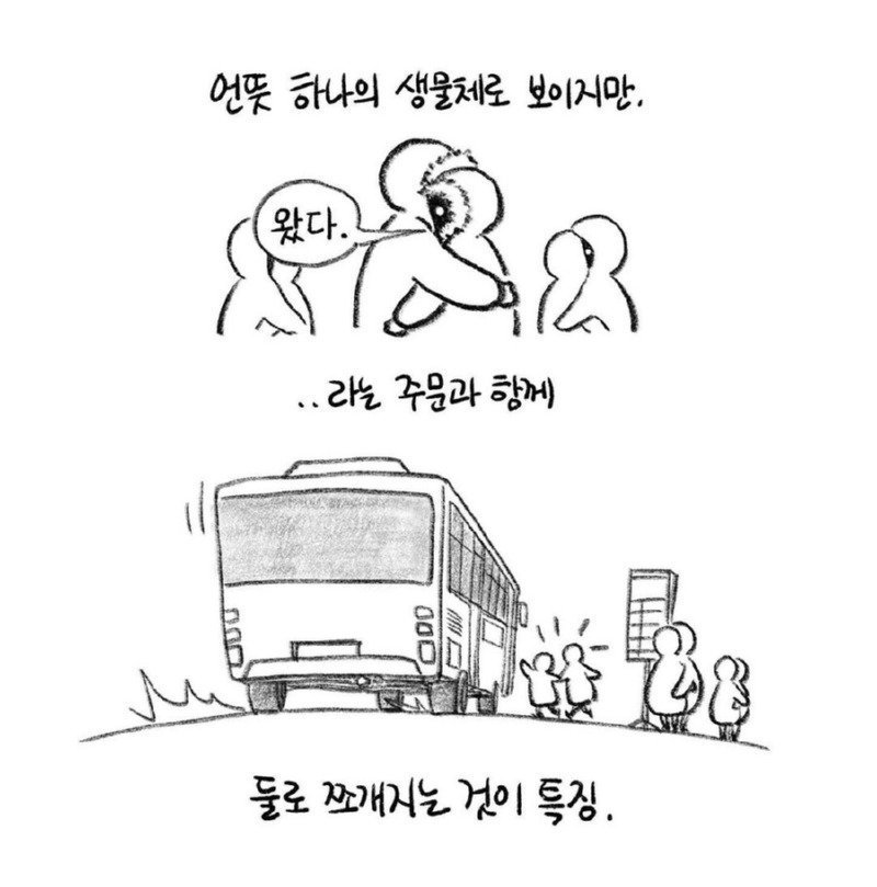 버스정류장에서 자주 보인다는 눈사람