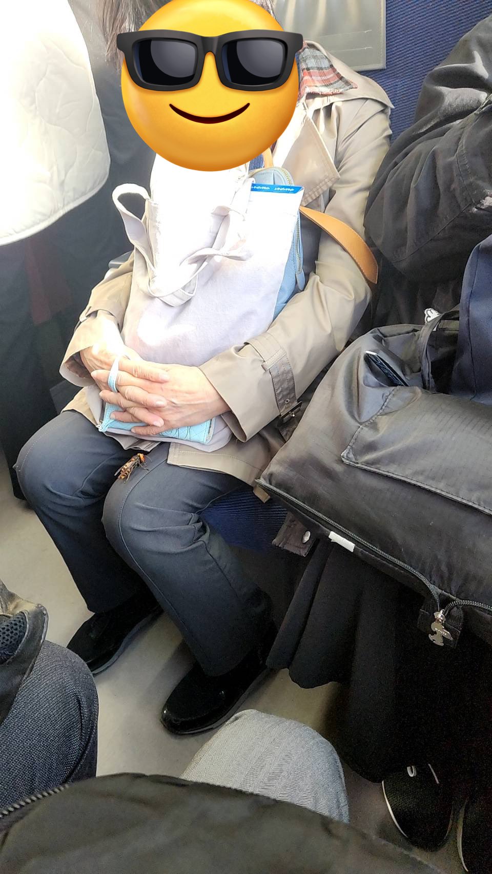 앉아있는 아주머니 무릎에 말벌이