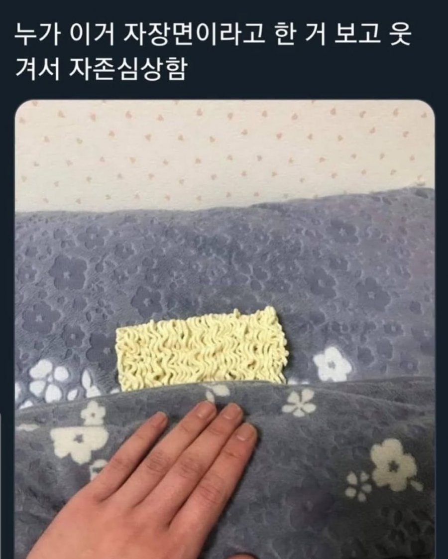 누가 이거 자장면이래