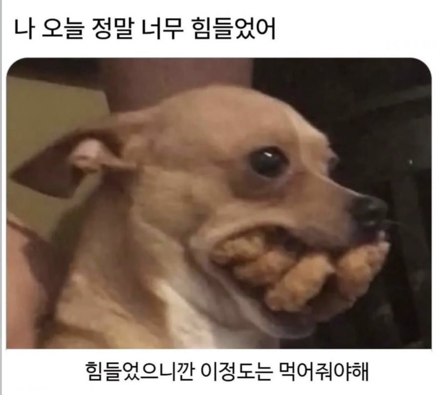 오늘 너무 힘들었다