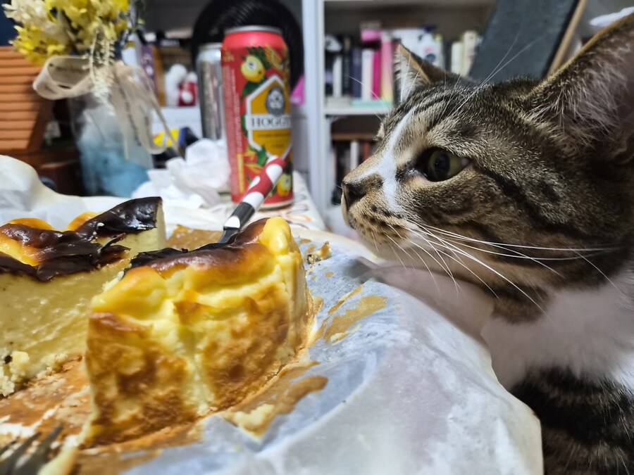 말 안들어서 감옥 보냄 ㅋㅋ