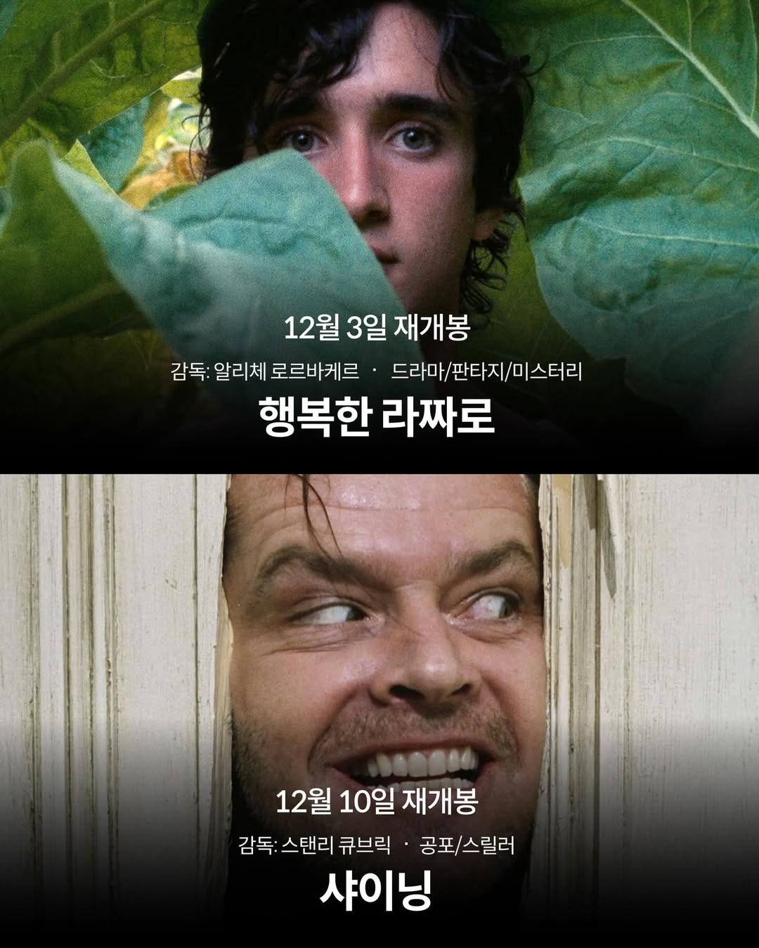 2025년 12월 개봉 예정 영화들