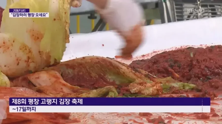 현재 반응 너무 좋다는 평창 김장 축제